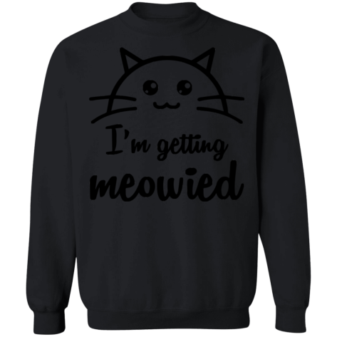 meowied cat